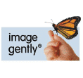 Image Gently Certification Seal